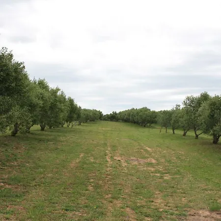 Bed & Breakfast Babin