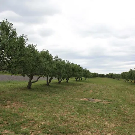 Babin Bed & Breakfast Pirovac