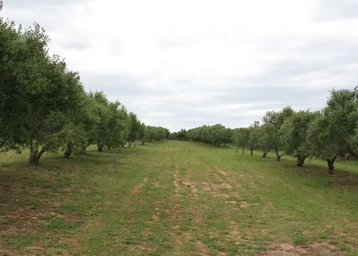 住宿加早餐酒店 Babin