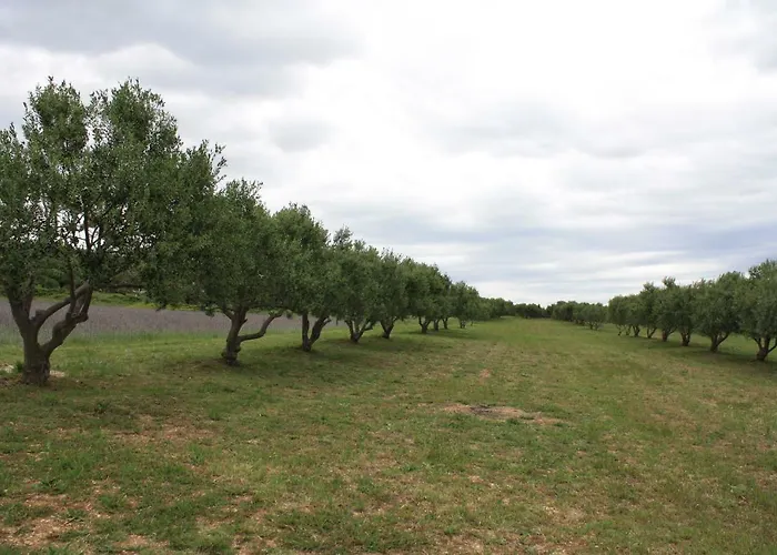 Babin Bed & Breakfast Pirovac