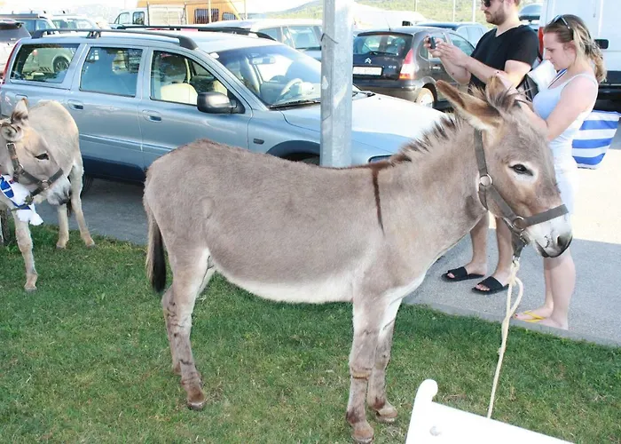 Babin 4* 皮罗瓦茨